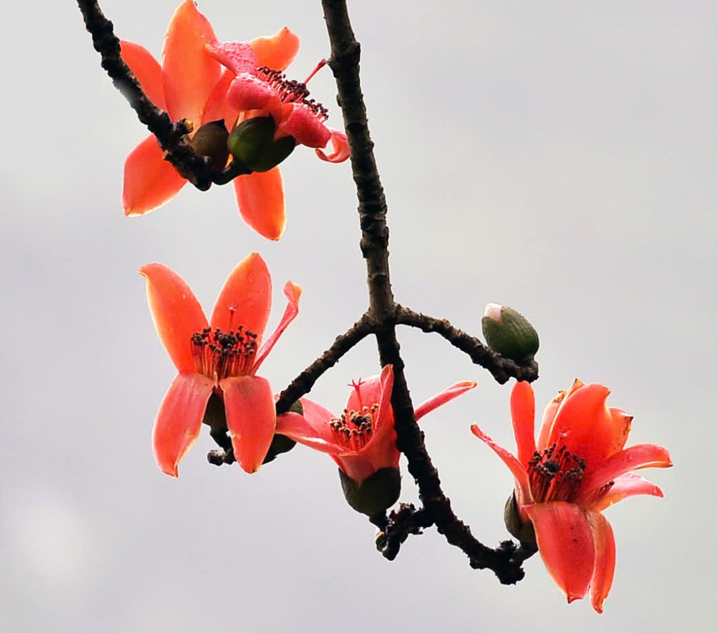 Không chỉ là một địa điểm linh thiêng, nơi đây còn trở thành điểm đến yêu thích của những người đam mê nhiếp ảnh.