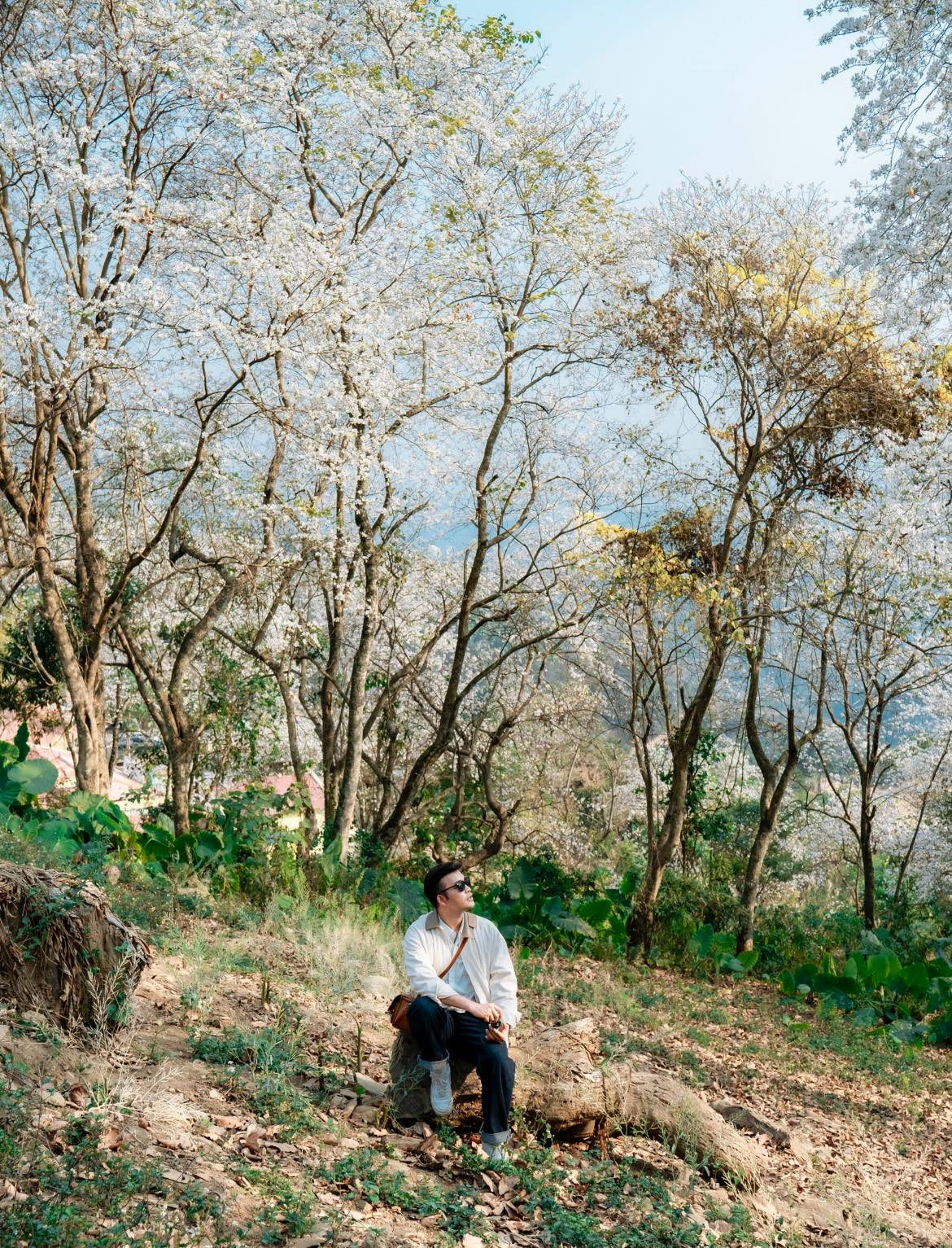 Nặm Cứm không chỉ là một điểm đến, mà còn là một giấc mơ, bản tình ca thiên nhiên khiến lòng người ngây ngất.