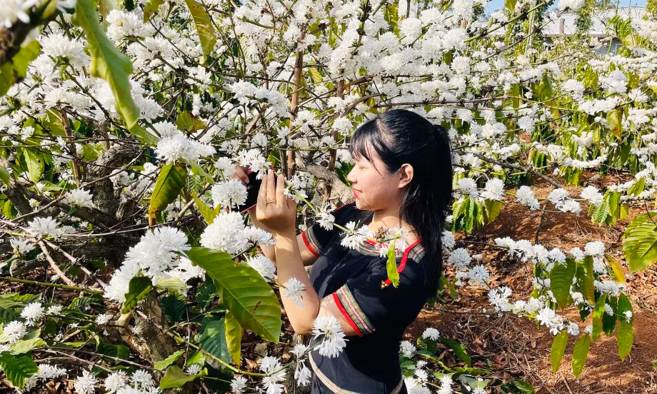 Các điểm ở Kon Tum: huyện Đắk Hà, huyện Đắk Glei, Tu Mơ Rông, Kon Plông, đường lên Măng Đen. Ảnh Internet