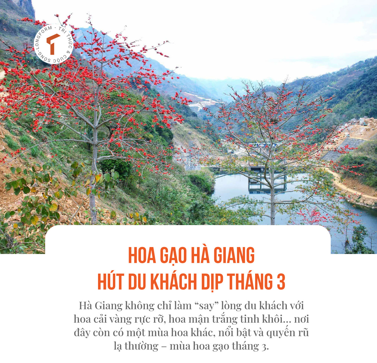 [LONGFORM]: Hoa gao Ha Giang hut du khach dip thang 3