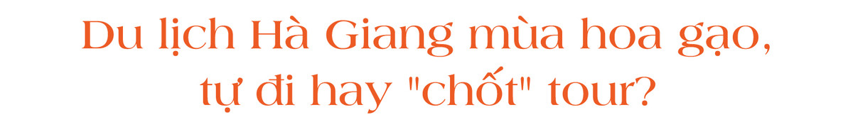 [LONGFORM]: Hoa gao Ha Giang hut du khach dip thang 3-Hinh-2