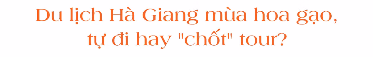 [LONGFORM]: Hoa gao Ha Giang hut du khach dip thang 3-Hinh-2