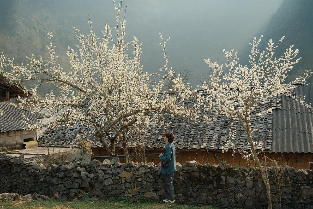Thời tiết lúc này phần lớn không mưa, bầu trời quang, không khí trong lành với nắng nhẹ. Nhiệt độ trung bình tháng 2 khoảng 20-28 độ C vào ban ngày, ban đêm giảm xuống 10-15 độ C. Ảnh Bùi Quang Thuỵ