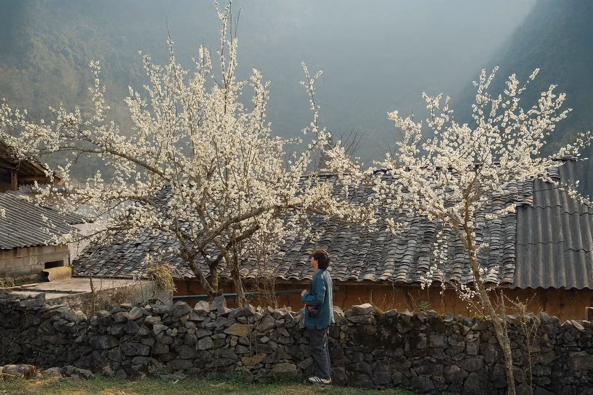 Thời tiết lúc này phần lớn không mưa, bầu trời quang, không khí trong lành với nắng nhẹ. Nhiệt độ trung bình tháng 2 khoảng 20-28 độ C vào ban ngày, ban đêm giảm xuống 10-15 độ C. Ảnh Bùi Quang Thuỵ