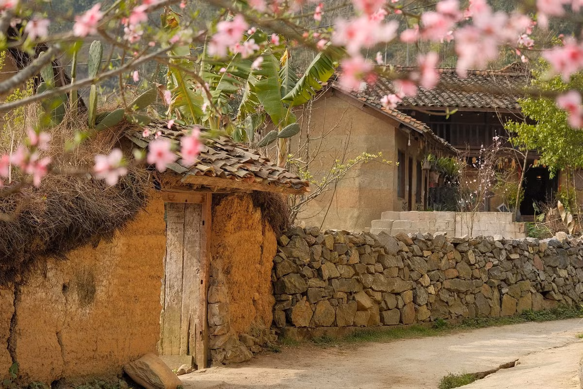 Mùa xuân len lỏi trong từng ngóc ngách các bản làng nhỏ. Ảnh Bùi Quang Thụy