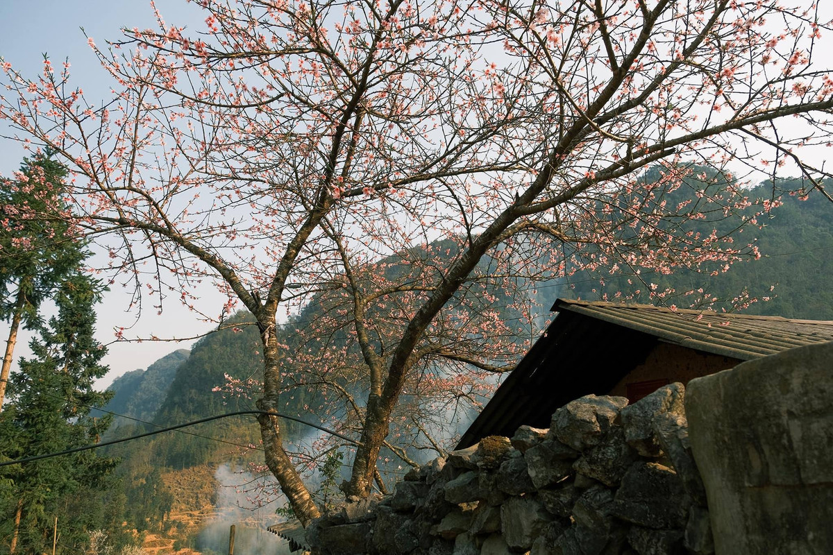 Mùa xuân ở đây mang lại cảm giác bình yên, an lành, khiến ai một lần đặt chân đến cũng đều muốn quay lại. Ảnh Bùi Quang Thụy