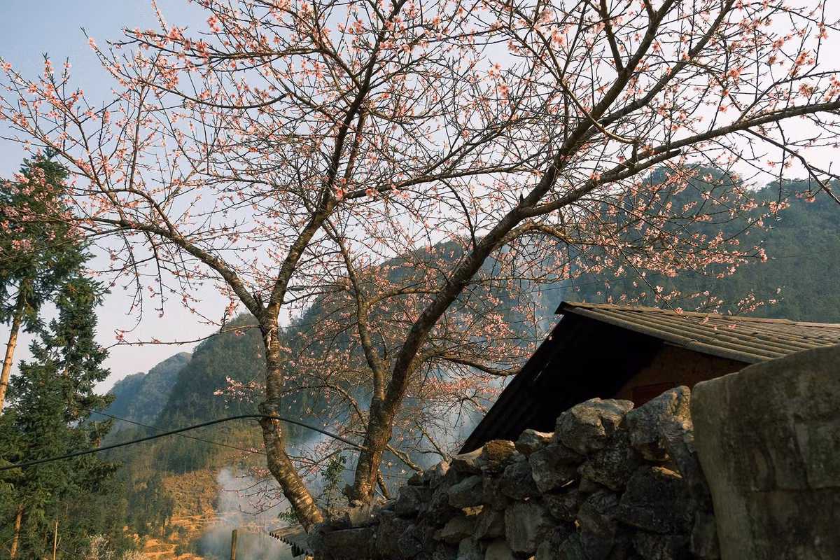 Mùa xuân ở đây mang lại cảm giác bình yên, an lành, khiến ai một lần đặt chân đến cũng đều muốn quay lại. Ảnh Bùi Quang Thụy