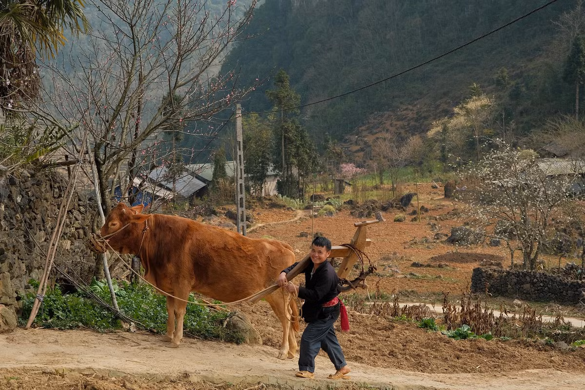 Mặc dù địa hình hiểm trở, đời sống còn khó khăn, nhưng những con người nơi đây vẫn luôn giữ được sự kiên cường, bền bỉ và lòng hiếu khách nồng hậu. Ảnh Bùi Quang Thụy