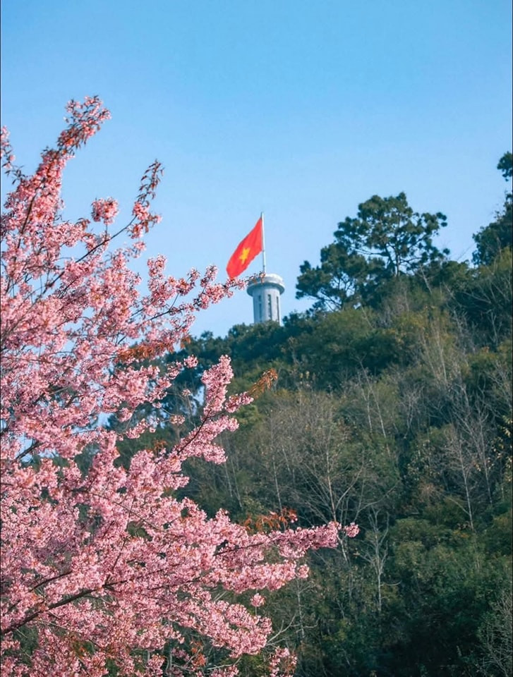 Những điểm ngắm hoa đẹp nhất tại Hà Giang bao gồm: Bản Lao Xa (Yên Minh): Ngôi làng nhỏ yên bình của người Mông với những cây hoa đào khoe sắc giữa núi đá.