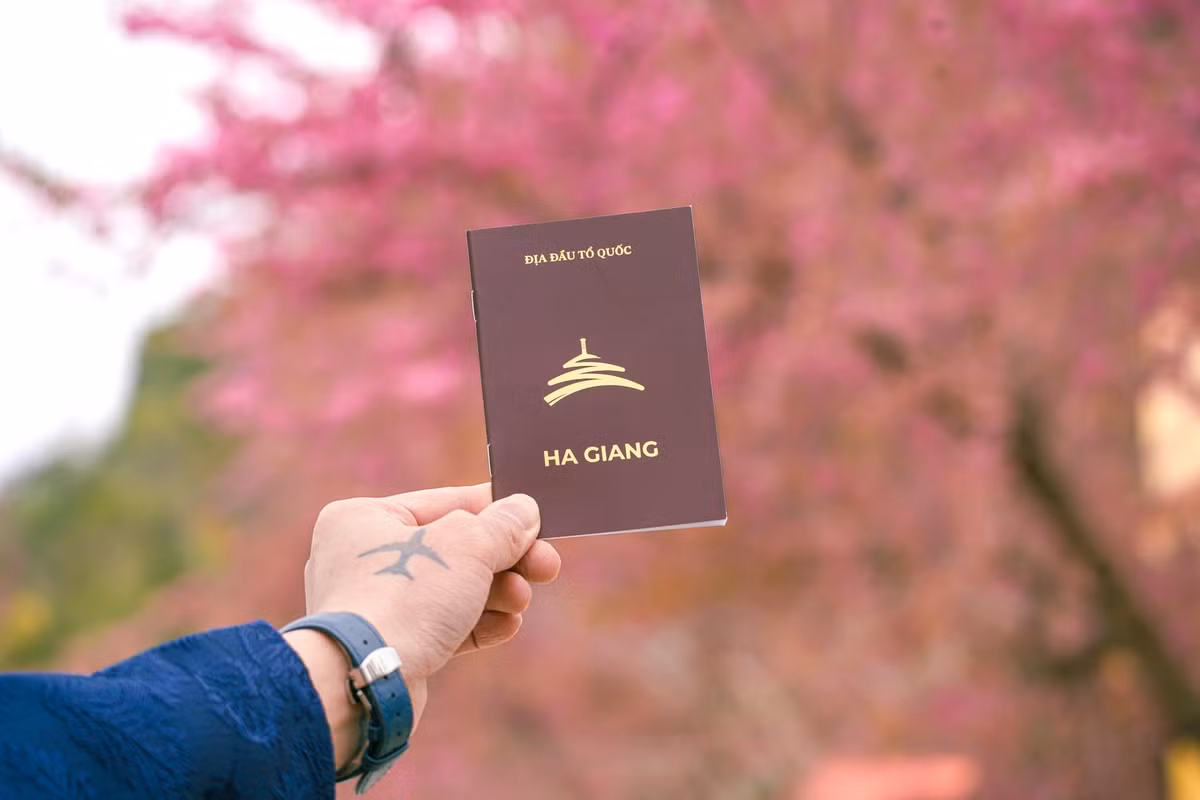 Gần đây, Hà Giang đã lọt vào danh sách 6 điểm ngắm hoa anh đào tuyệt đẹp nhưng ít người biết đến tại châu Á - Thái Bình Dương, theo gợi ý của Booking.com. Ảnh Tô Đi Đâu