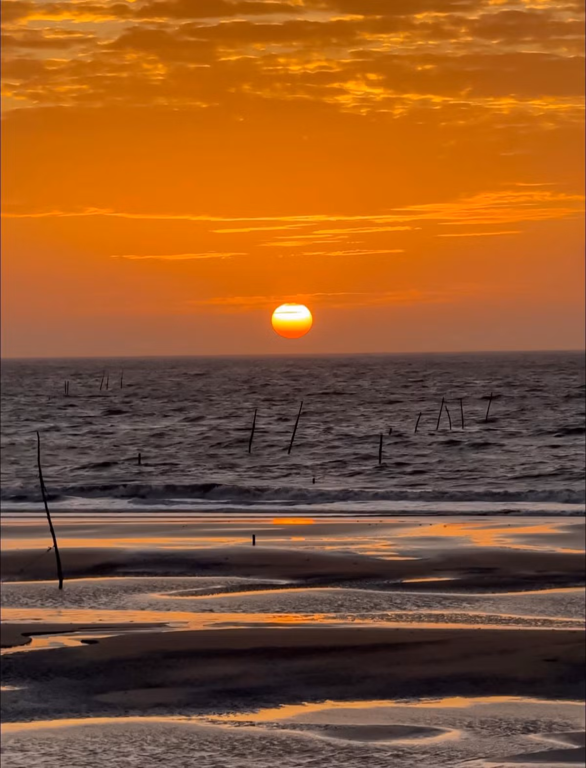 Điều khiến Ba Động trở nên đặc biệt chính là bãi cát mịn màng, trải dài theo đường bờ biển. Khi thủy triều rút xuống, những động cát nhấp nhô lộ ra, tạo nên cảnh sắc độc đáo – cũng là nguồn gốc của cái tên "Ba Động". Ảnh Chuyến đi của Tali