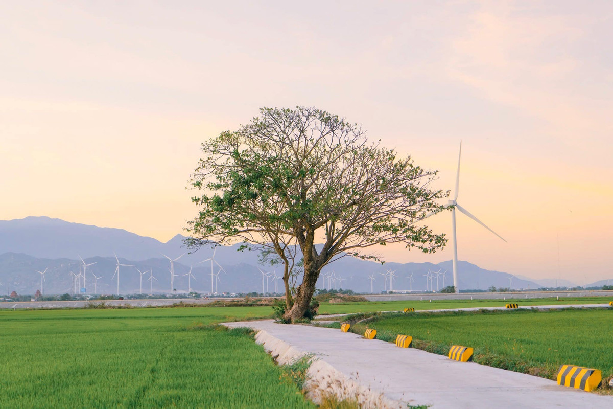 Mỗi thời điểm trong năm nơi đây lại khoác trên mình chiếc áo khác nhau, màu sắc cuốn hút. Ảnh Bích Ngọc