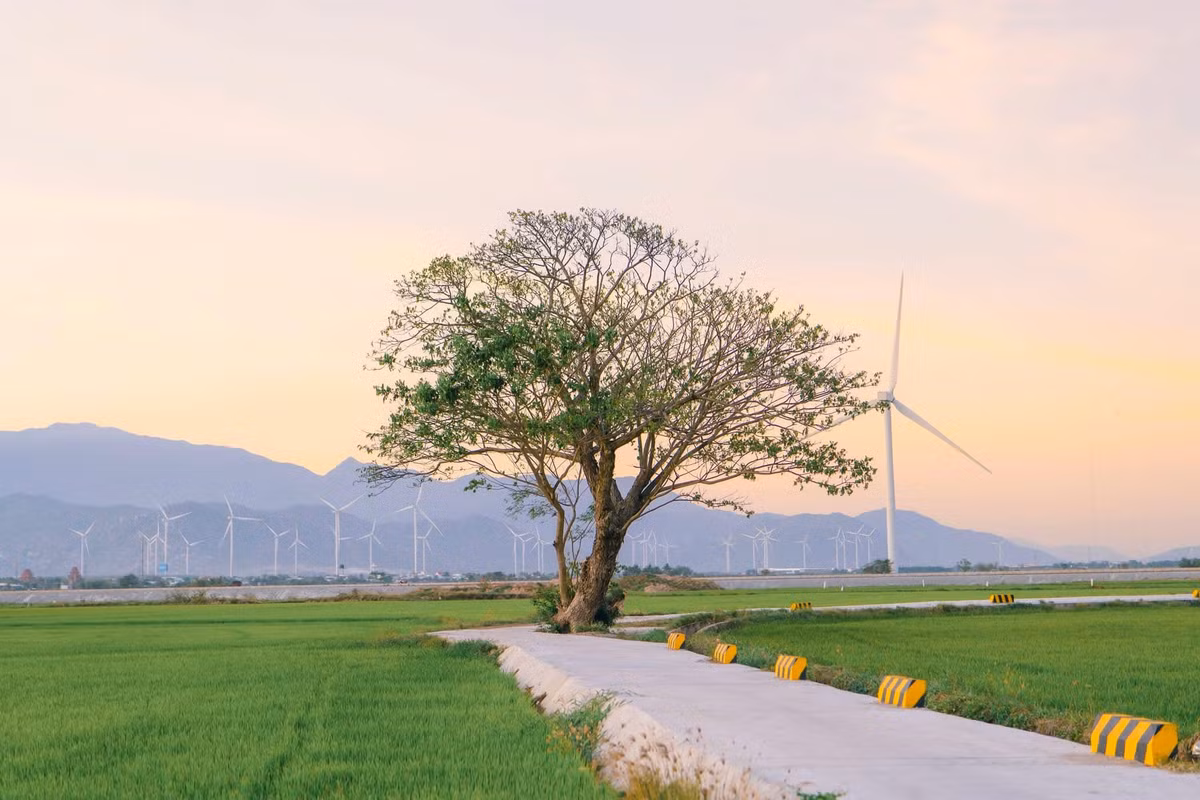 Mỗi thời điểm trong năm nơi đây lại khoác trên mình chiếc áo khác nhau, màu sắc cuốn hút. Ảnh Bích Ngọc