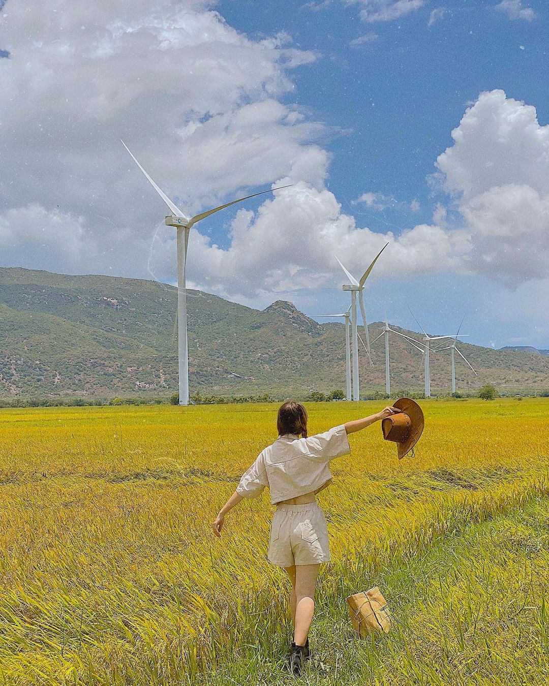 Đến mùa lúa chín, cả không gian như được dát vàng, hương lúa thơm phảng phất trong gió, mang đến cảm giác thư thái và bình yên. Ảnh MIA