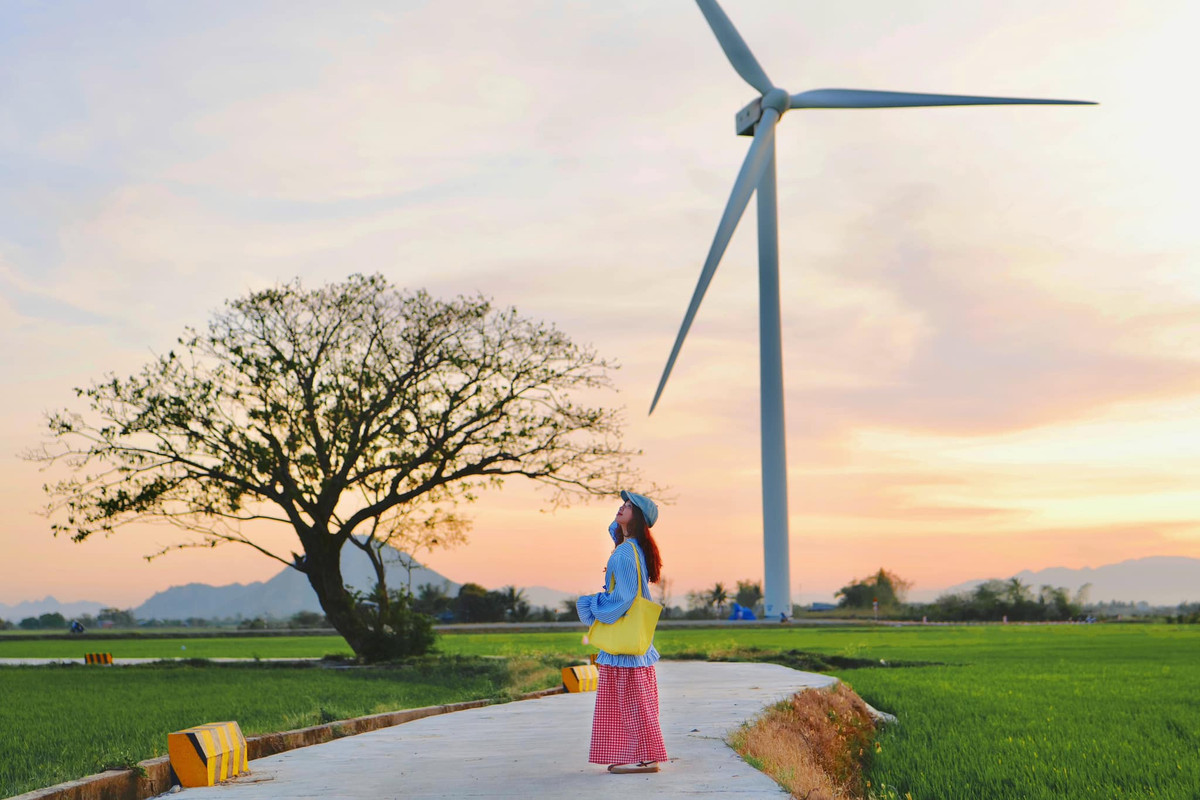 Khi lúa còn xanh, khung cảnh nơi đây như một bức tranh thanh bình với những cánh đồng lúa non trải dài, hòa cùng màu trắng của tuabin gió trên nền trời xanh biếc. Ảnh Ngọc Bích