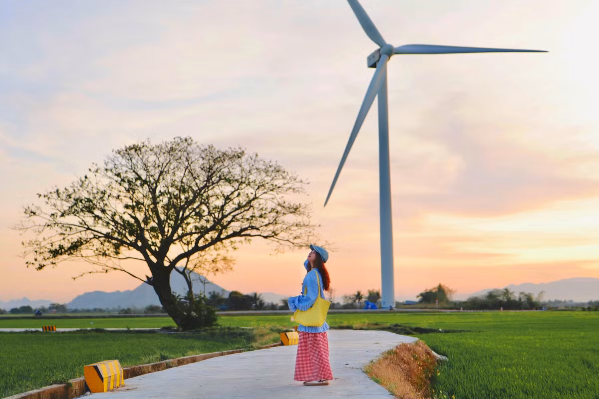 Khi lúa còn xanh, khung cảnh nơi đây như một bức tranh thanh bình với những cánh đồng lúa non trải dài, hòa cùng màu trắng của tuabin gió trên nền trời xanh biếc. Ảnh Ngọc Bích