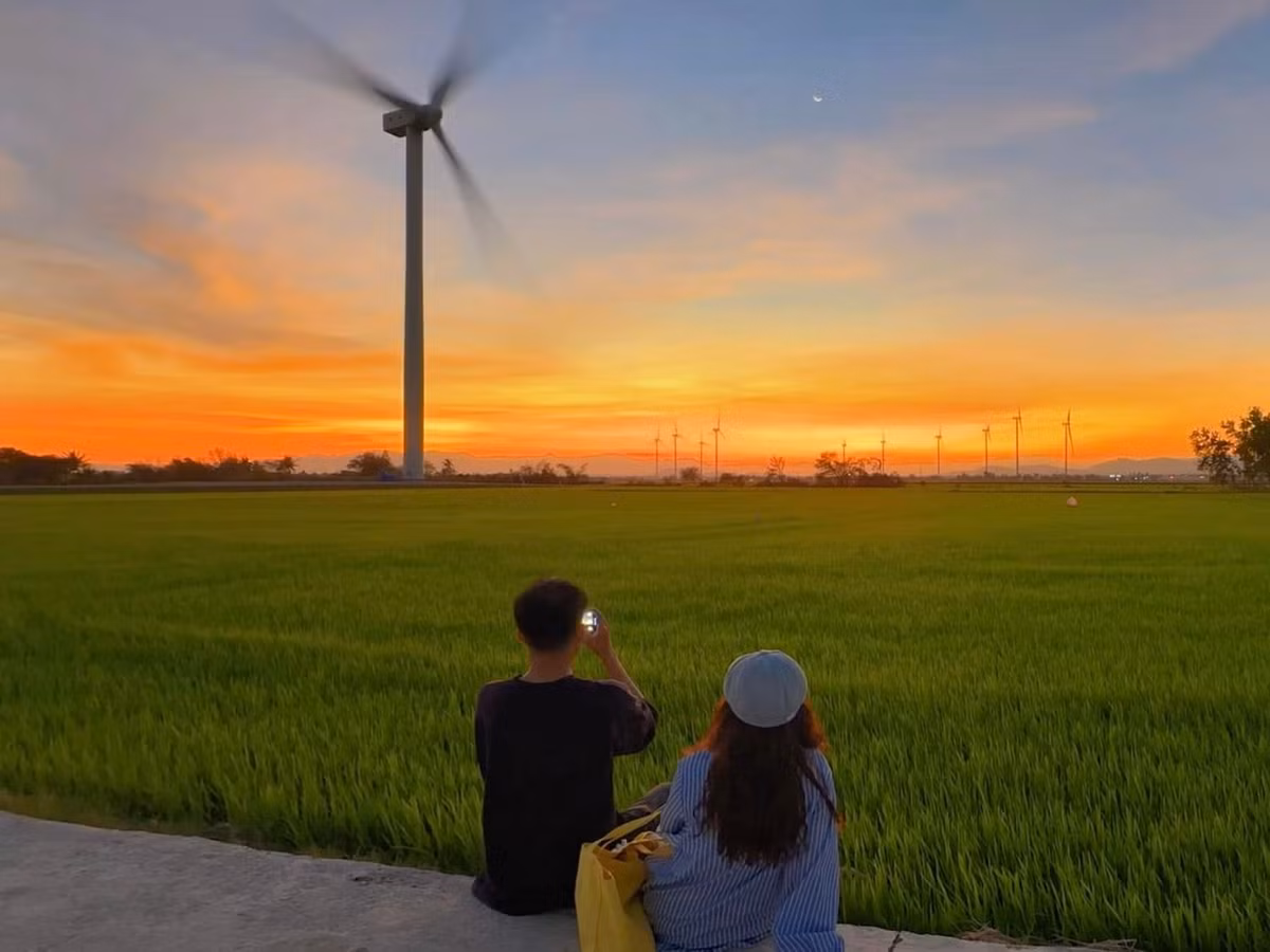 Hoàng hôn xuống, bầu trời được nhuộm sắc đỏ hồng rực rỡ, phản chiếu xuống cánh đồng lúa tạo nên một bức tranh thiên nhiên vừa hùng vĩ, vừa lãng mạn.