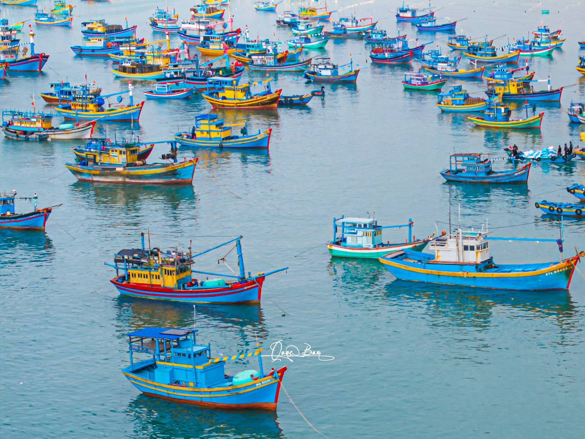 Nhìn từ trên cao, cảng cá La Gàn hiện lên như một bức tranh sống động, đầy màu sắc và nhộn nhịp.