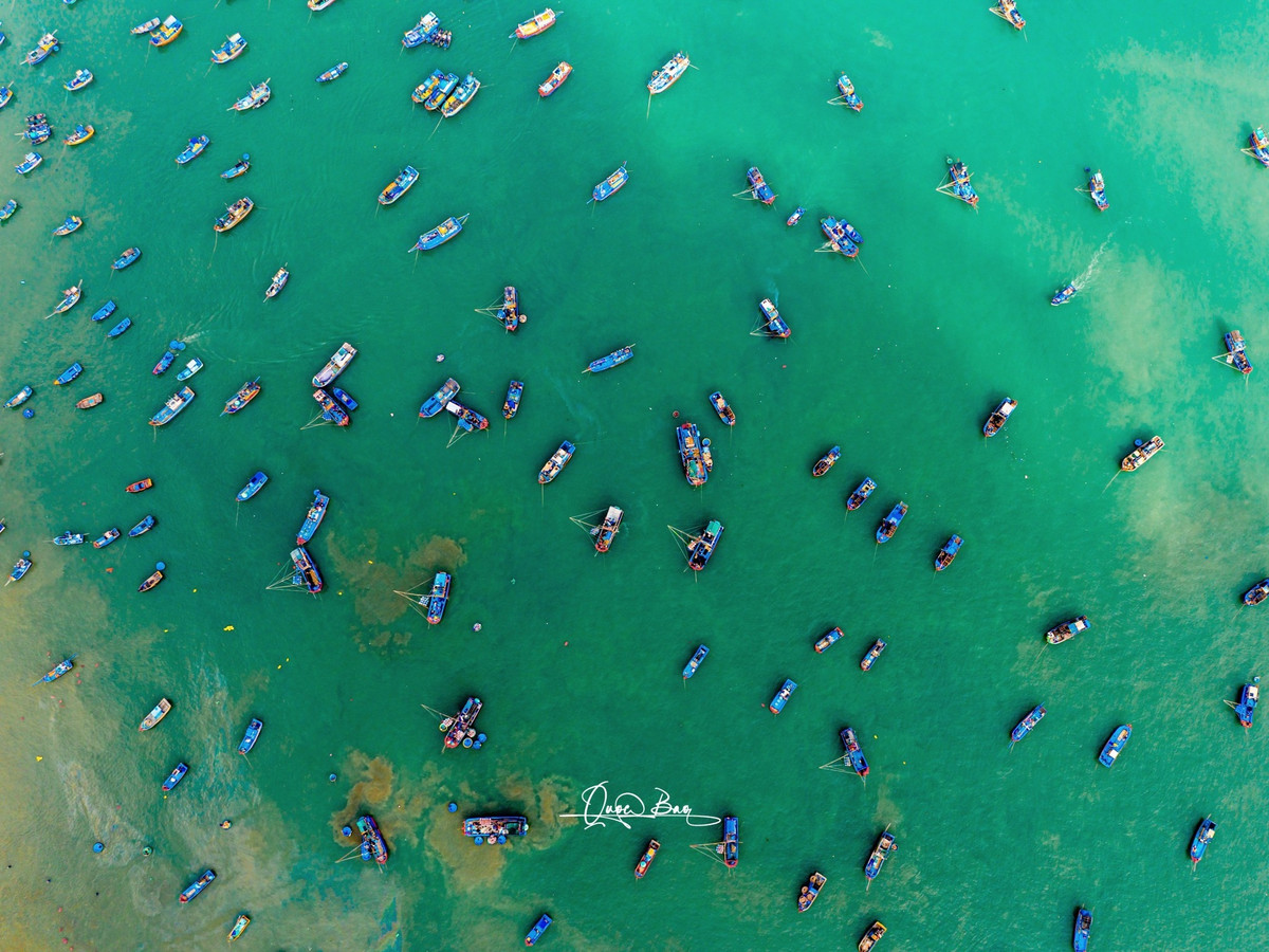 Những chiếc thuyền đánh cá nối đuôi nhau cập bến, mặt nước phản chiếu sắc màu rực rỡ của tàu thuyền và bầu trời xanh thẳm.