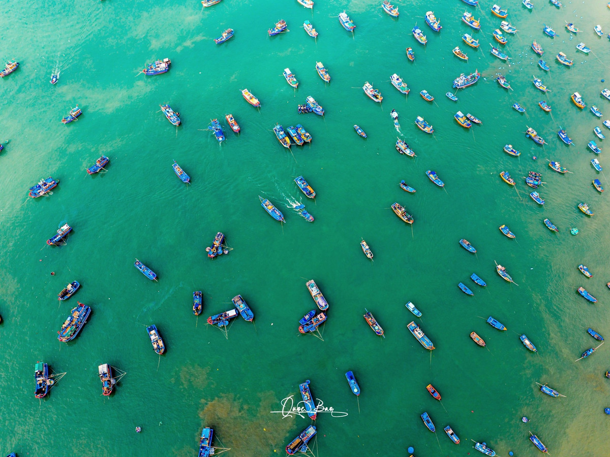 Nơi đây lưu giữ hơi thở của biển cả, nhịp sống lao động hăng say của con người và sự hào phóng của thiên nhiên, tạo nên một khung cảnh vừa giản dị vừa cuốn hút mọi ánh nhìn.