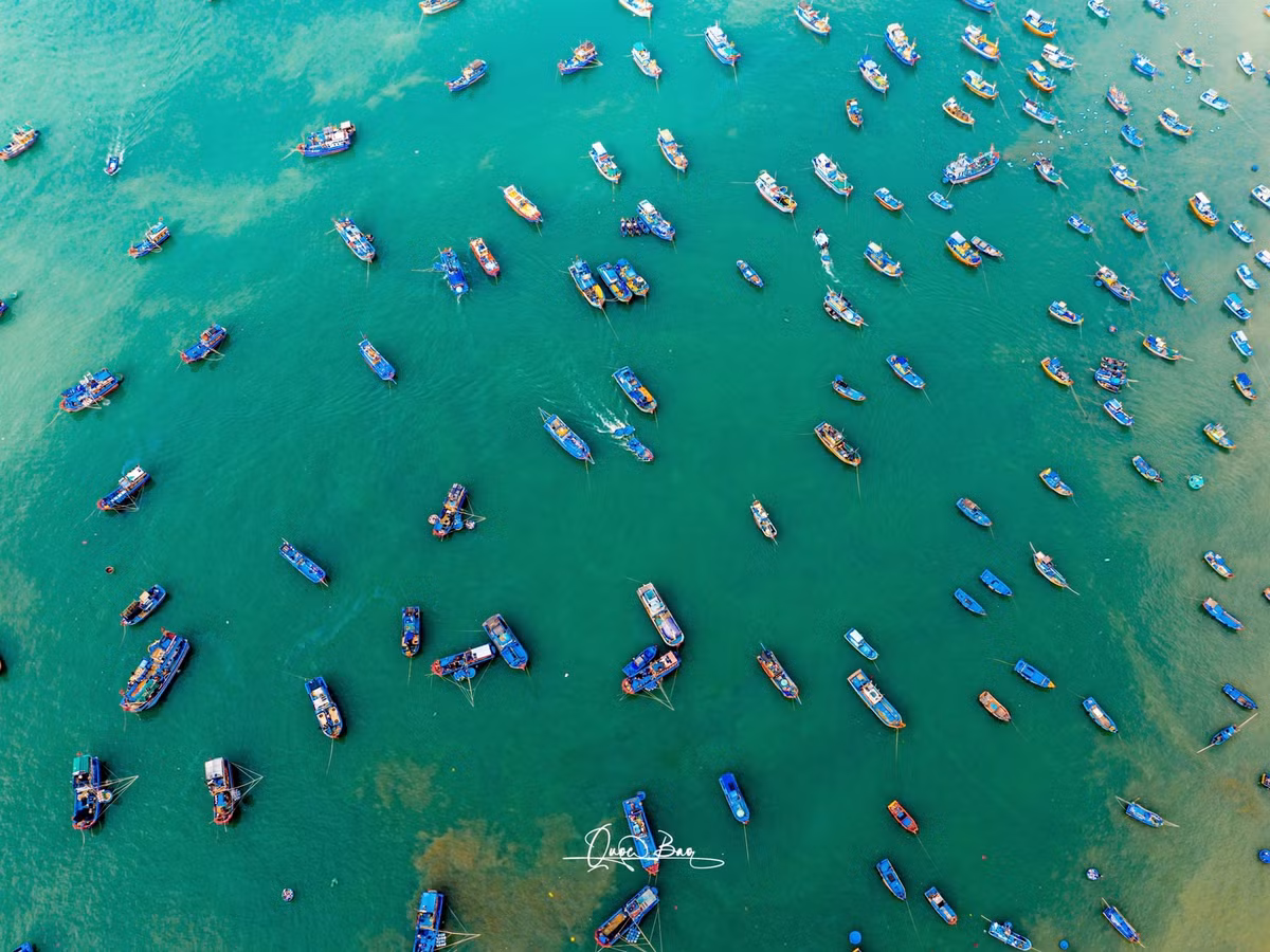 Nơi đây lưu giữ hơi thở của biển cả, nhịp sống lao động hăng say của con người và sự hào phóng của thiên nhiên, tạo nên một khung cảnh vừa giản dị vừa cuốn hút mọi ánh nhìn.