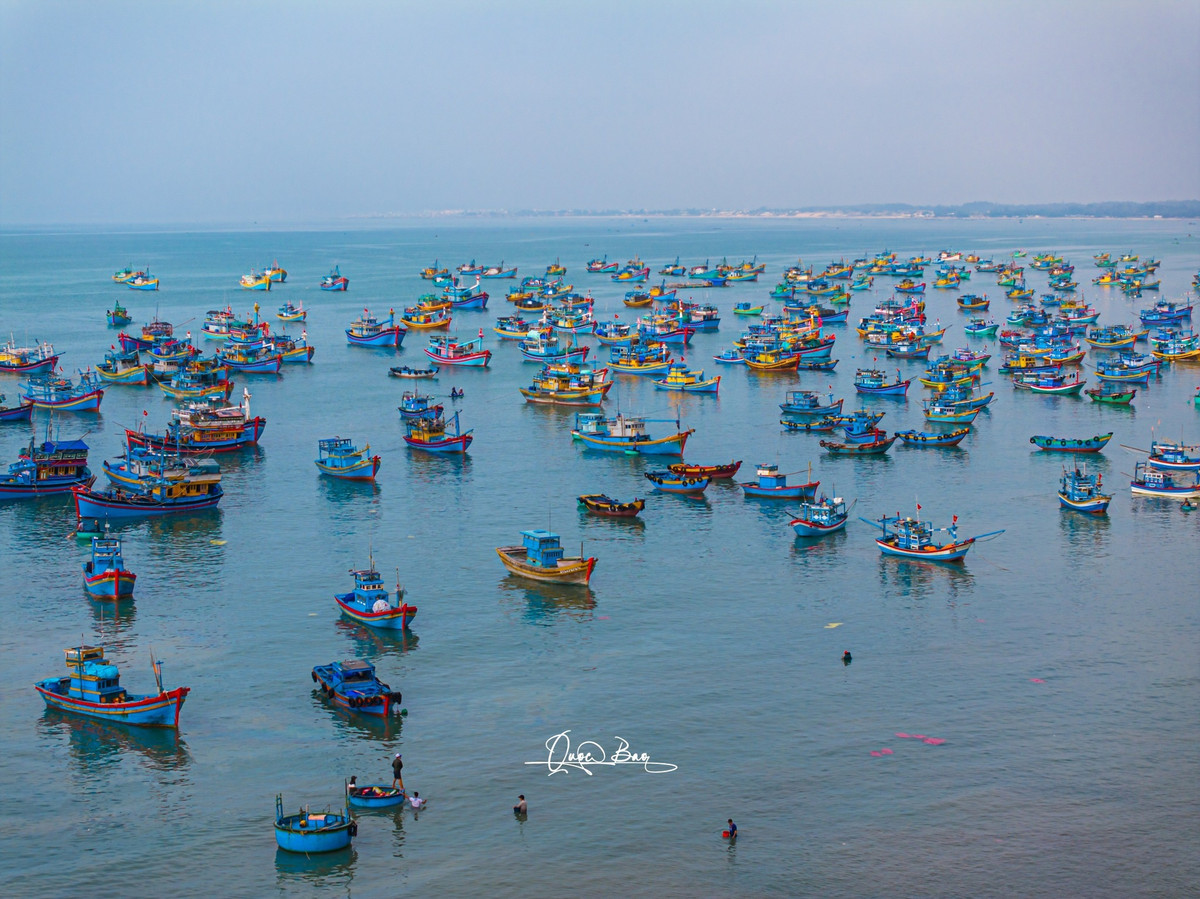 Không chỉ là nơi giao thương hải sản, cảng cá La Gàn còn là điểm đến hấp dẫn đối với du khách yêu thích khám phá.