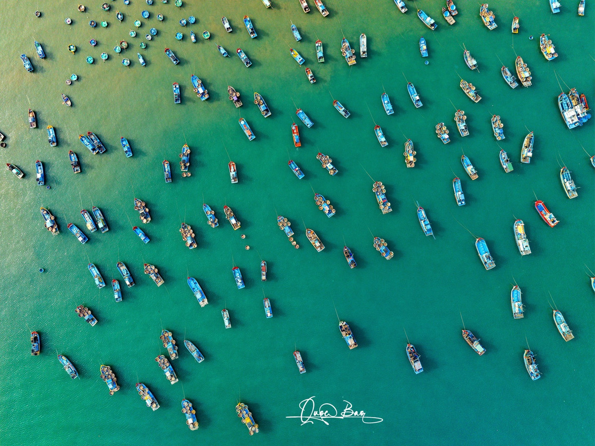 Những con tàu đánh cá lớn nhỏ neo đậu san sát, tạo thành những mảng màu rực rỡ trên nền biển xanh thẳm.