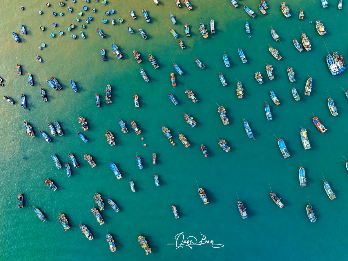 Những con tàu đánh cá lớn nhỏ neo đậu san sát, tạo thành những mảng màu rực rỡ trên nền biển xanh thẳm.