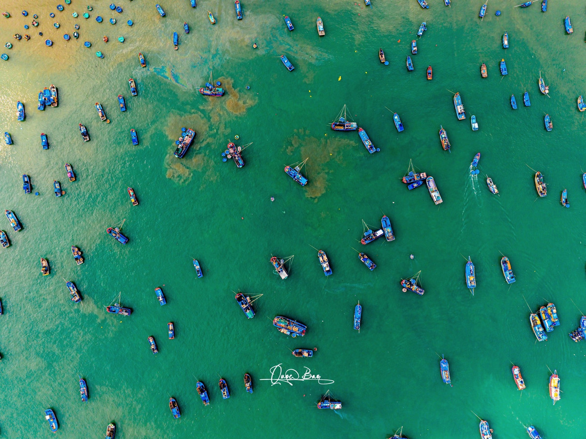 Cảng cá La Gàn, một trong những cảng biển sôi động của tỉnh Bình Thuận, mỗi ngày đều chứng kiến cảnh tượng tấp nập, nhộn nhịp của hàng trăm tàu thuyền ra vào.