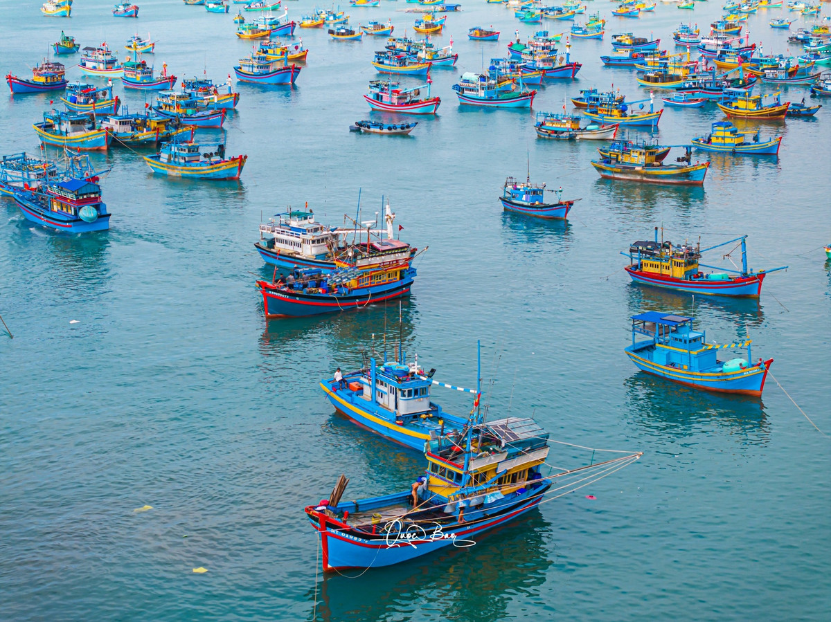 Cảng cá La Gàn không chỉ là nơi cung cấp nguồn hải sản dồi dào mà còn là biểu tượng của sự cần cù, chịu thương chịu khó của những con người miền biển.