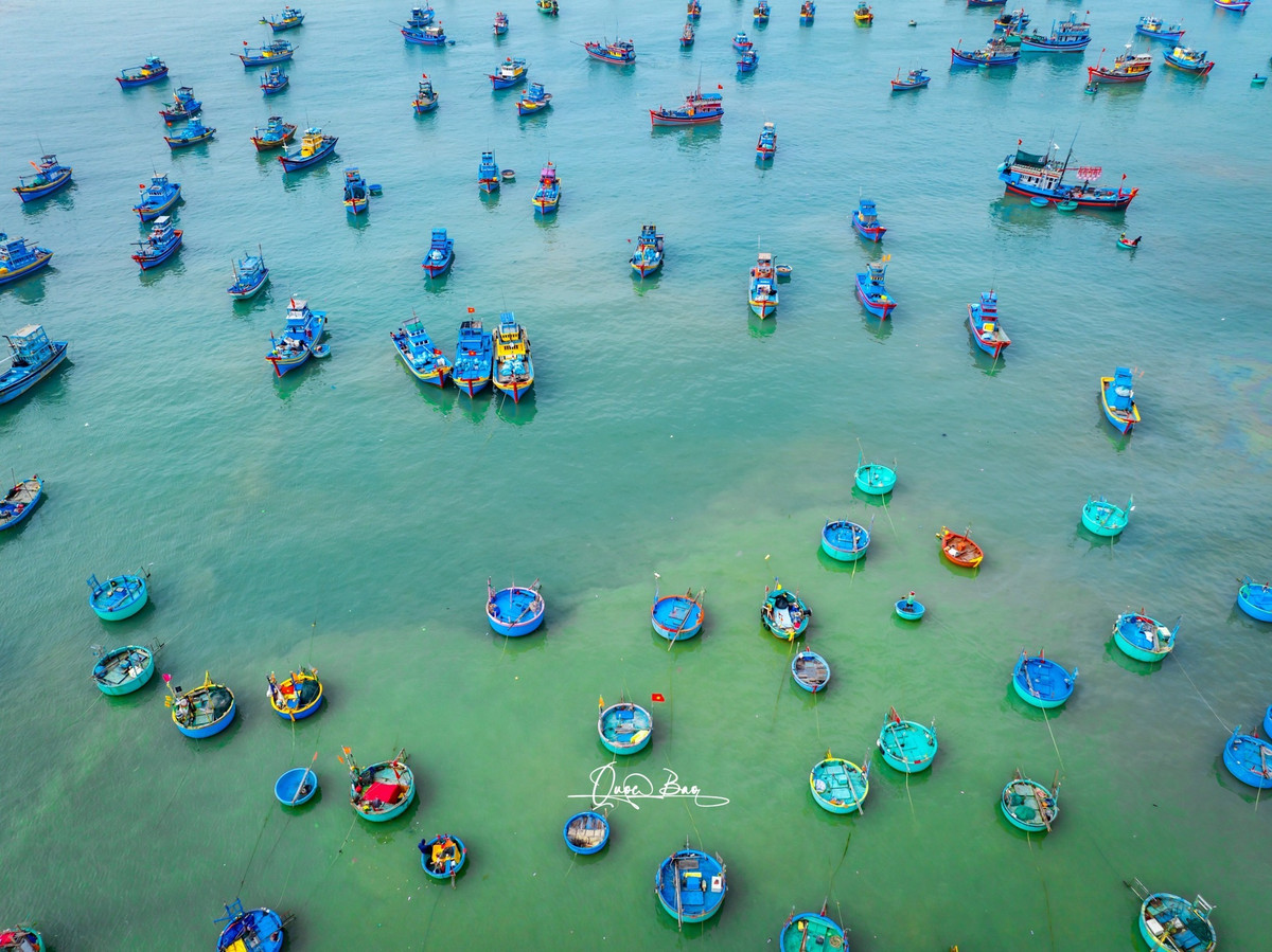 Từ bao đời nay, những người dân lớn lên ở các làng chài ven biển vẫn gọi mình là những người con của biển cả. Họ lênh đênh trên những con tàu và mang niềm vui trở về đất liền với những khoang thuyền đầy ắp sản vật của biển cả.