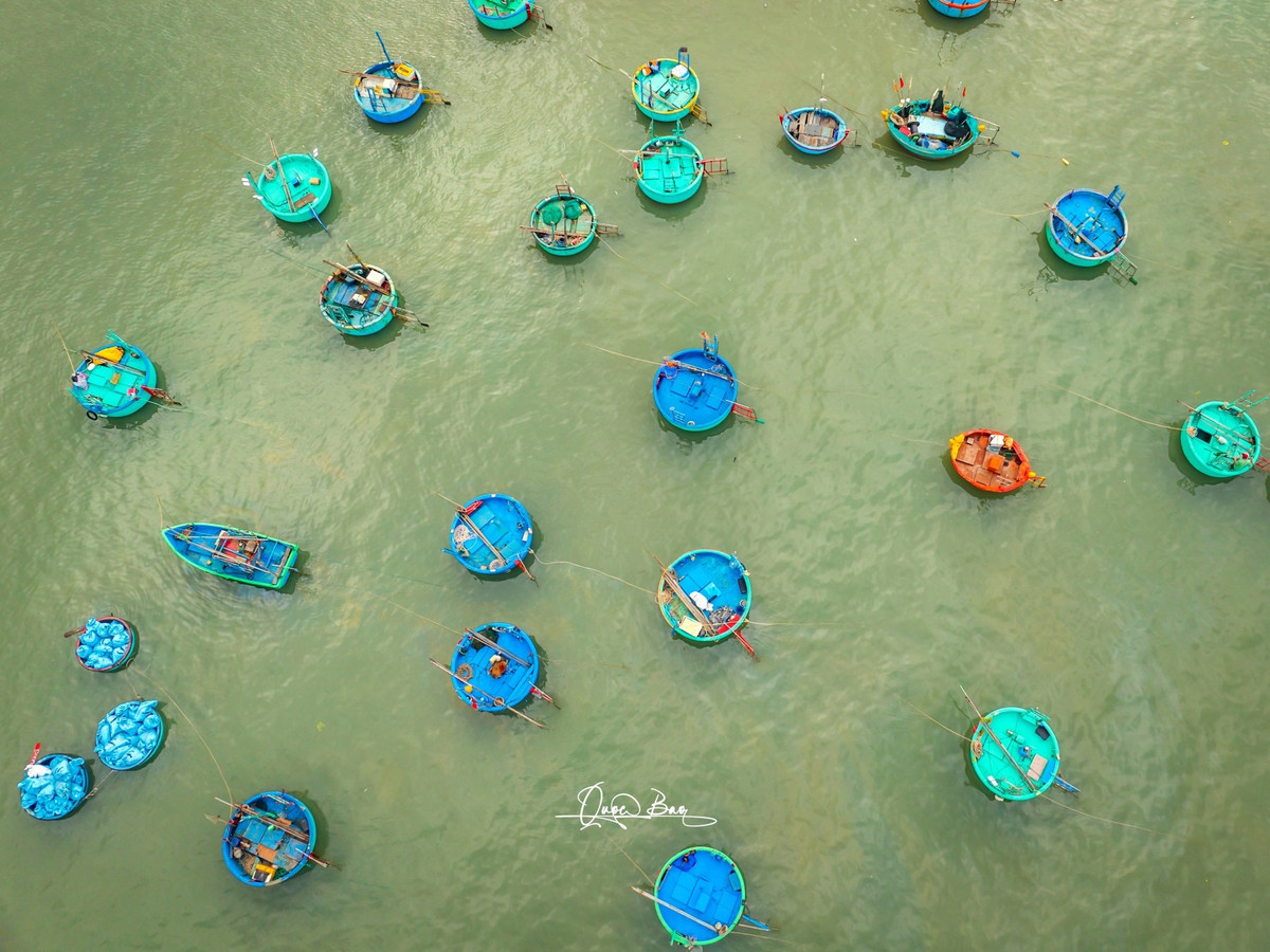 Được chứng kiến cảnh mua bán nhộn nhịp, tận tay lựa chọn những loại hải sản tươi ngon nhất và cảm nhận nhịp sống sôi động của ngư dân là trải nghiệm khó quên.