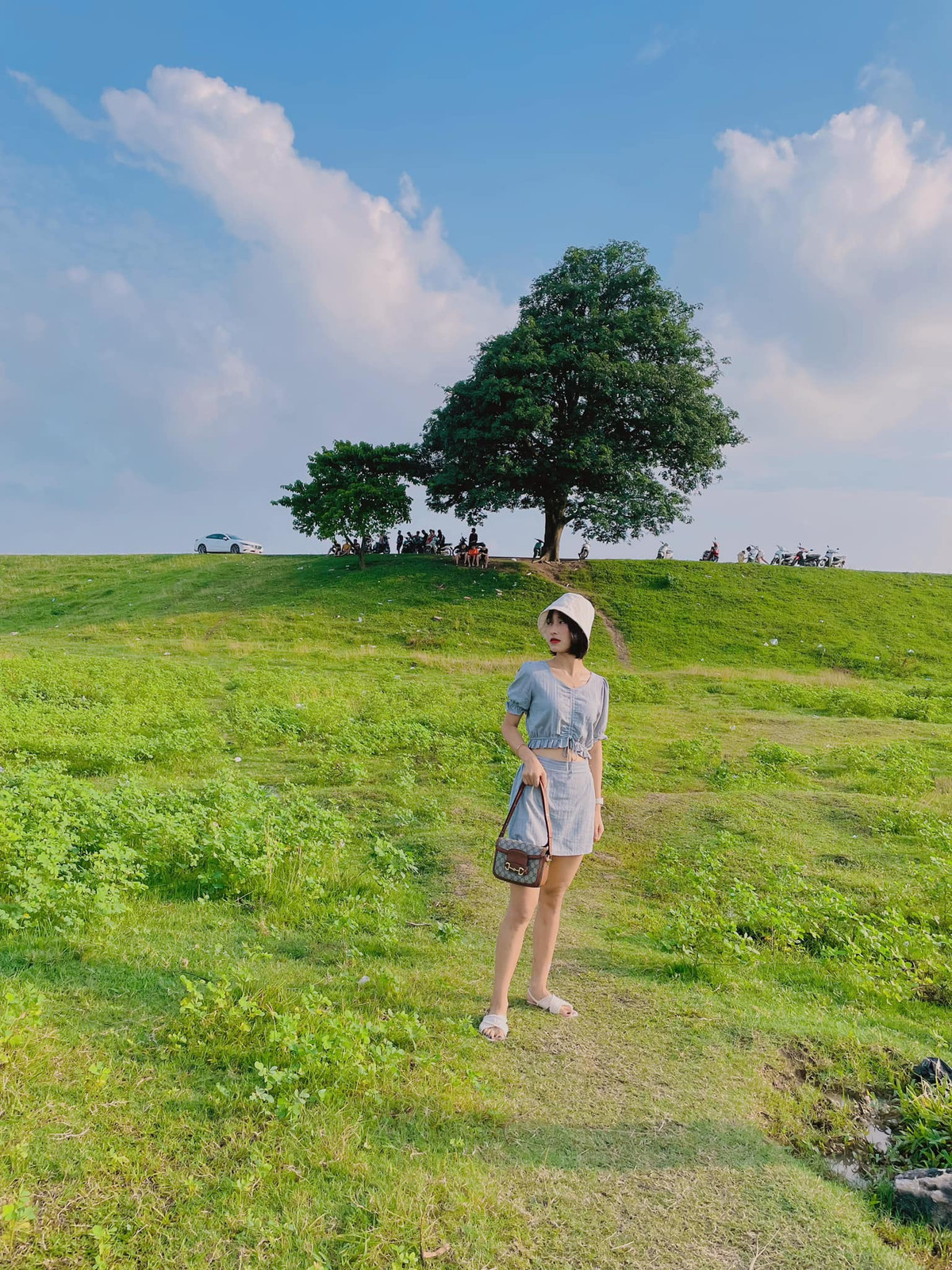 Từ trung tâm TP Bắc Ninh: Đi theo đường Trần Hưng Đạo về phía Nam, rẽ vào đường Nguyễn Trãi. Tiếp tục đi thẳng theo hướng về phường Hòa Long, đến khu vực bờ đê Hữu Chấp. Tại đây, bạn có thể hỏi người dân địa phương hoặc tra Google Maps để tìm chính xác vị trí cây. Ảnh Internet