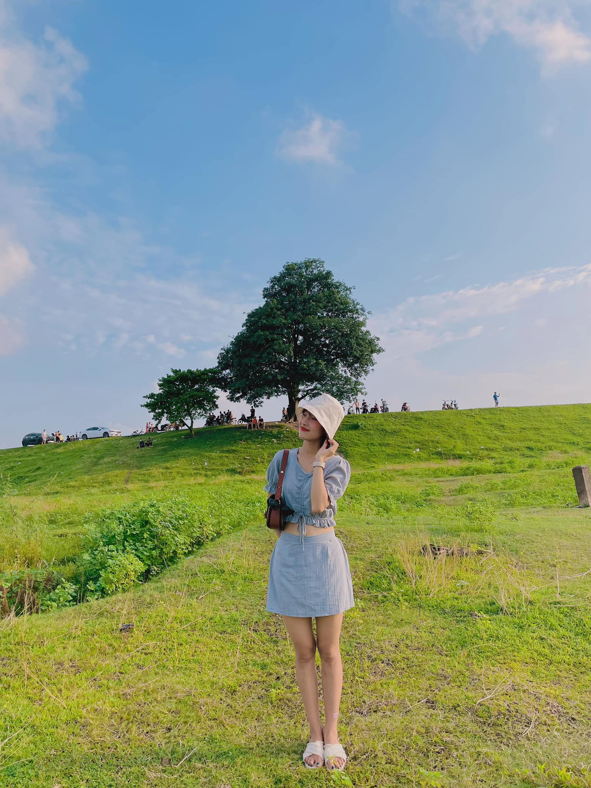 Cây cũng là một trong những nhân chứng lịch sử lâu đời, theo suốt chiều dài phát triển và trải qua bao biến cố, thăng trầm cùng địa phương.