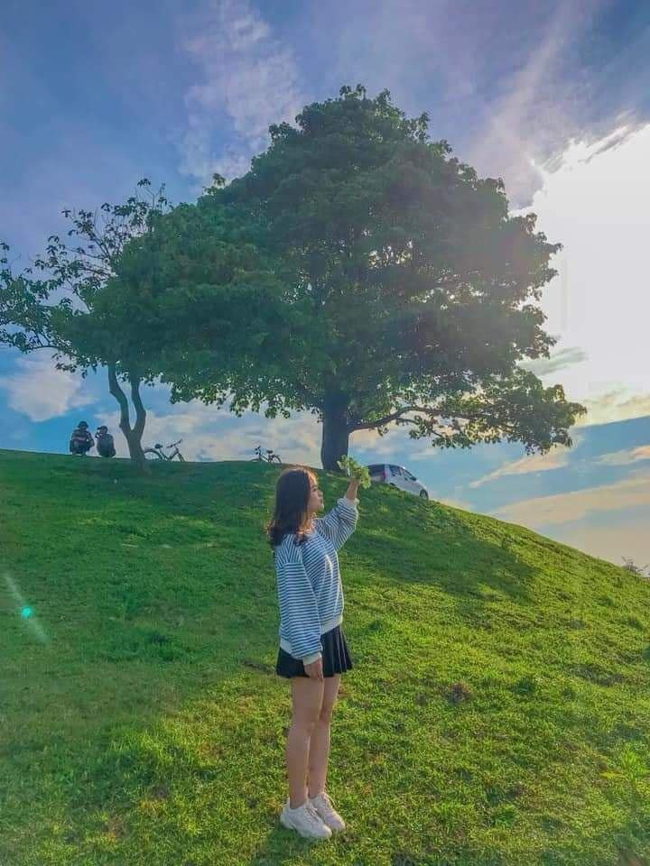 Cây Cô Đơn có tuổi đời hàng trăm năm và là một trong những cây cổ thụ lâu đời nhất tại Bắc Ninh đón rất nhiều những vị khách ghé thăm trong những ngày qua.