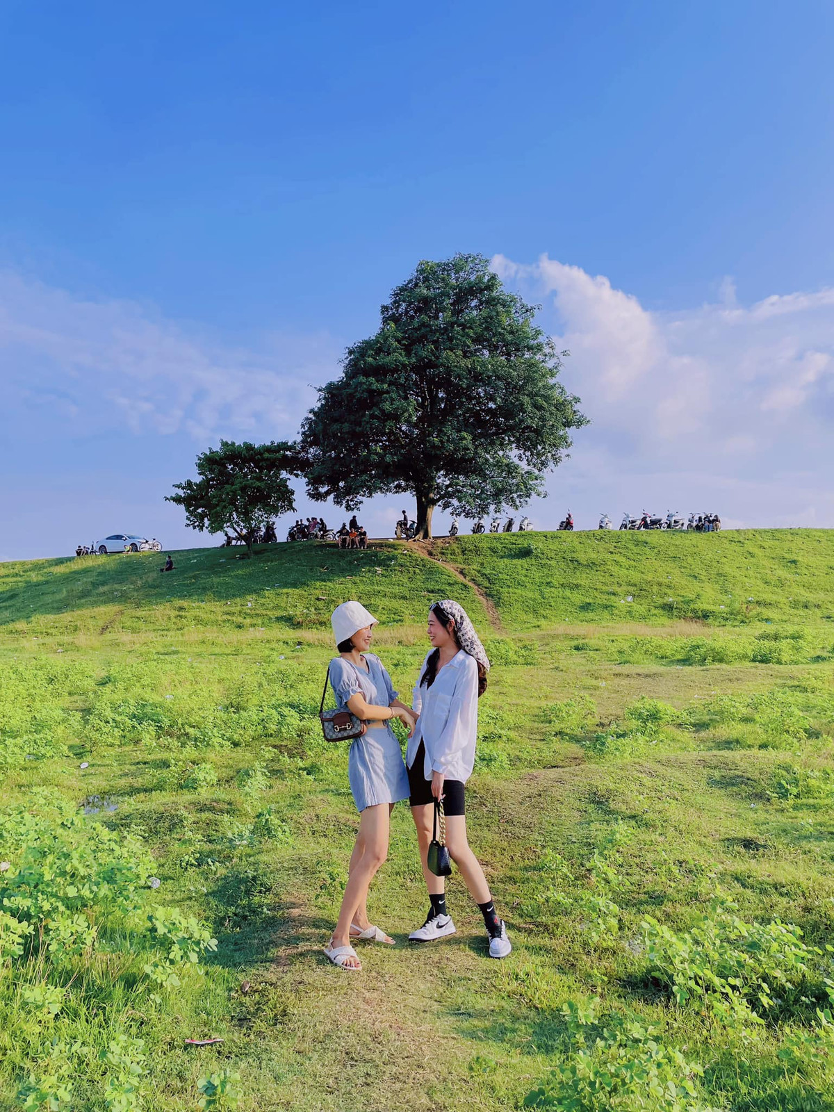 Để đến Cây Cô Đơn tại bờ đê Hữu Chấp, phường Hòa Long, TP Bắc Ninh, du khách có thể di chuyển bằng xe máy hoặc ô-tô theo hướng: Ảnh Internet