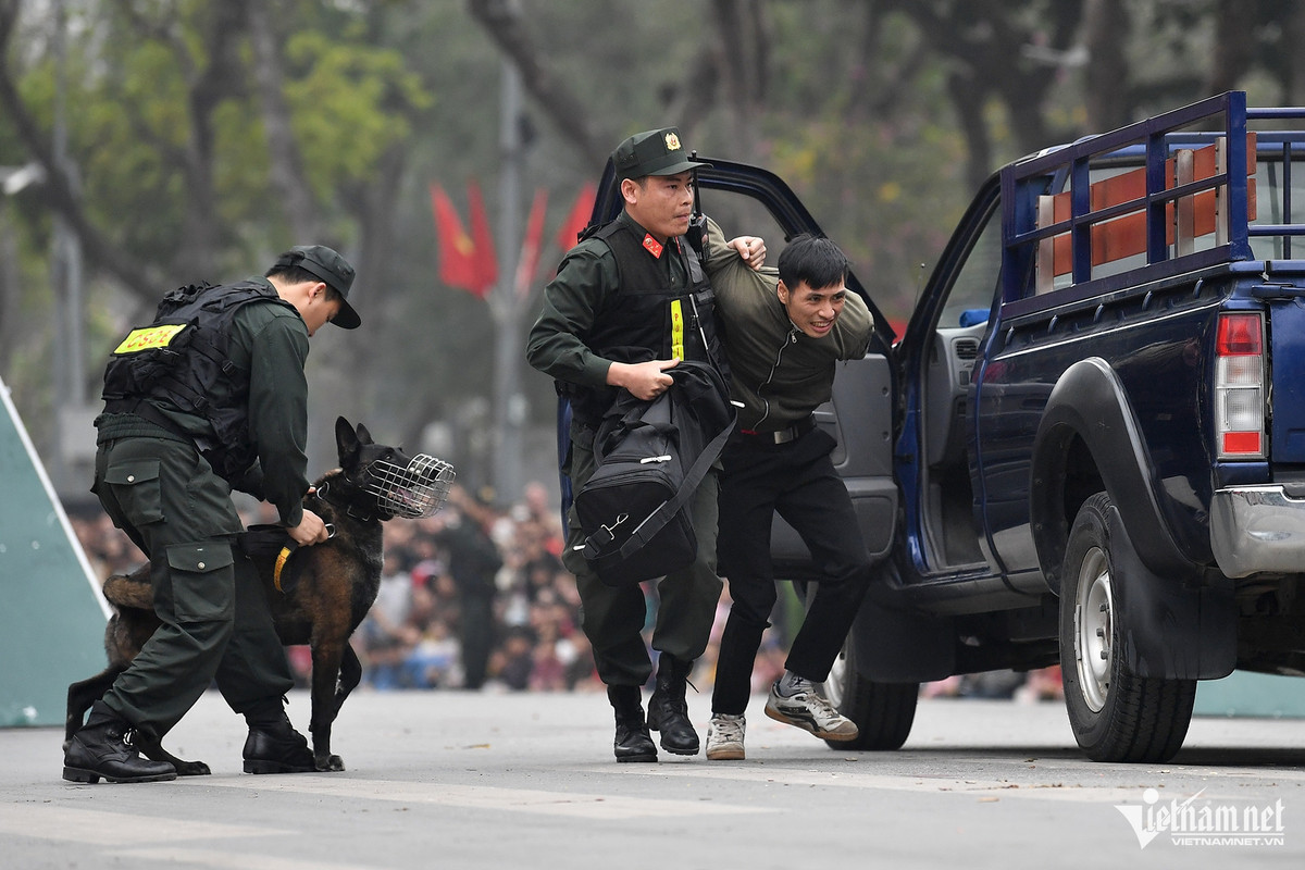 uổi trình diễn còn có màn thể hiện tài năng của chó nghiệp vụ giả định tham gia tìm kiếm và truy bắt "tội phạm" buôn lậu qua cửa khẩu. Bằng mưu trí và tài năng của lực lượng cảnh sát, toàn bộ những kẻ mang ma túy qua khu vực kiểm soát đều bị tạm giữ và áp giải đưa về đồn.