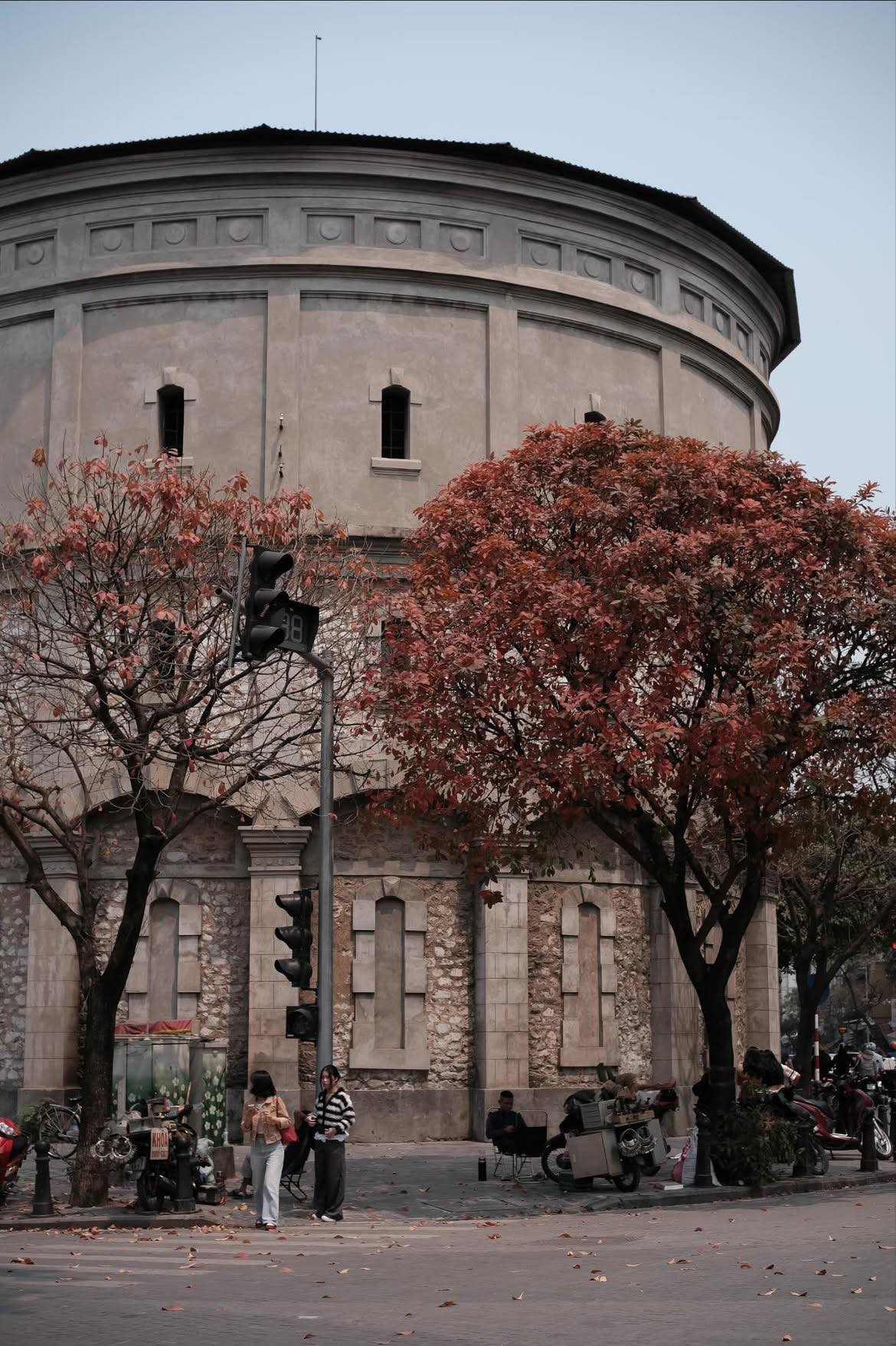 Những hàng cây bằng lăng, lộc vừng, bàng lá nhỏ… đồng loạt chuyển sang màu vàng rực rỡ rồi đỏ cam trước khi rơi xuống, phủ đầy vỉa hè một lớp thảm lá nên thơ. Ảnh Internet