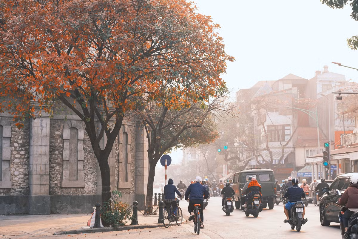 Tiết trời tháng Ba, nhiều tuyến phố tại Hà Nội lại bước vào mùa thay lá. Khung cảnh đẹp đến nao lòng, như trong nhiều bộ phim Hàn Quốc. Ảnh loanhquanhwqanh