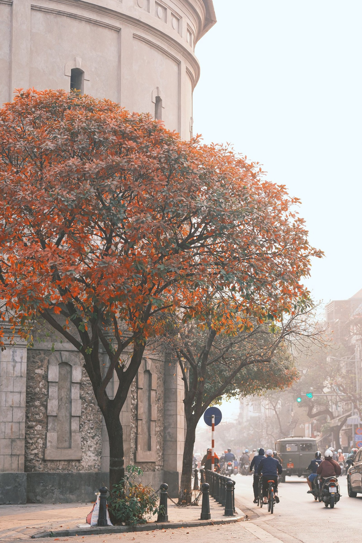 Những con đường trải thảm lá đủ sắc đỏ, cam, vàng... trở thành phông nền chụp ảnh nên thơ, thu hút nhiều bạn trẻ chụp ảnh, lưu lại khoảnh khắc tuyệt đẹp này. Ảnh loanhquanhwqanh