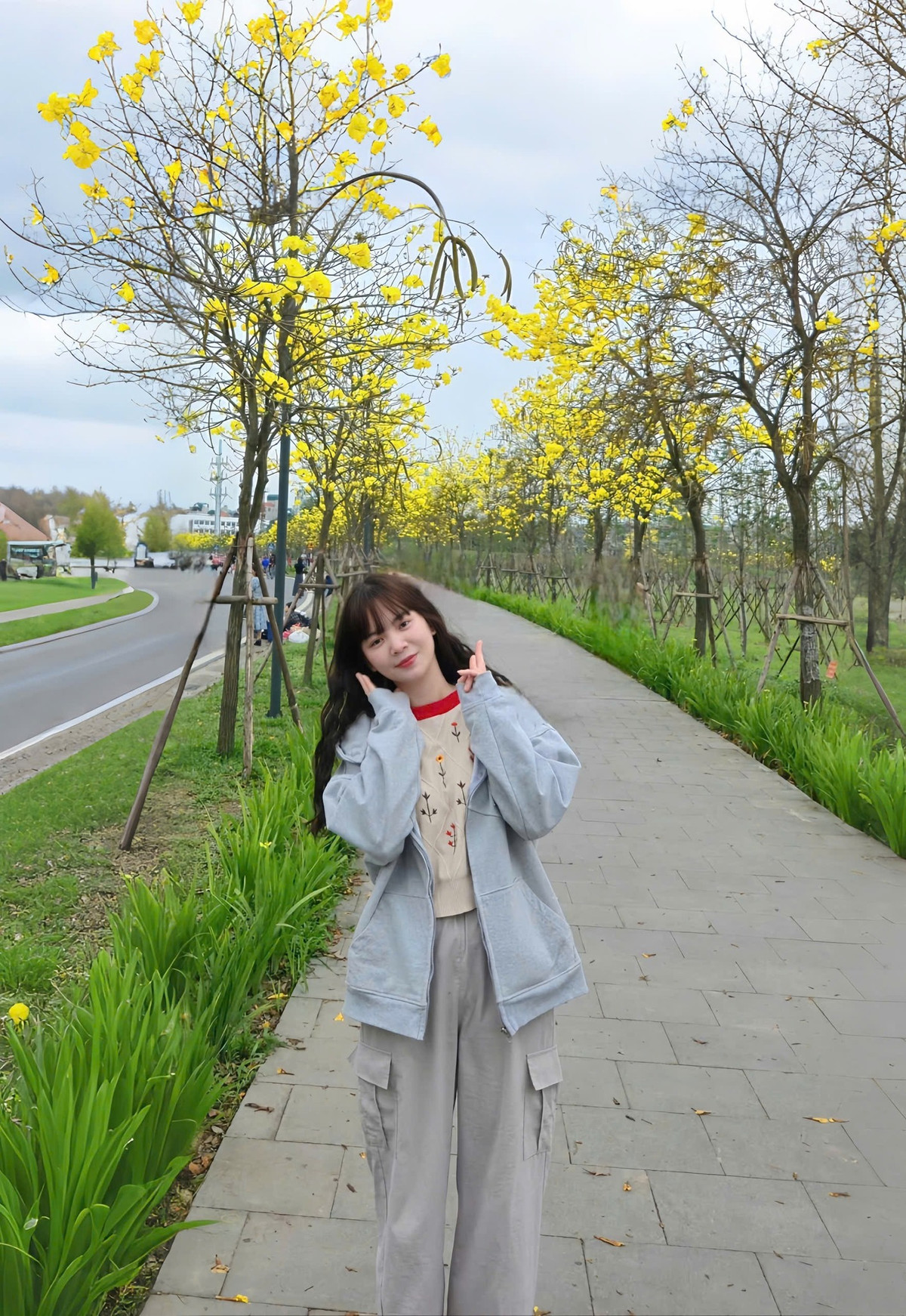 Những hàng cây hoa phong linh ở khu đô thị tại quận Hà Đông (Hà Nội) những ngày này cũng đua nhau kheo sắc vàng rực rỡ, thu hút các "tín đồ" đam mê nghệ thuật tới chụp hình. Ảnh Nguyễn Linh