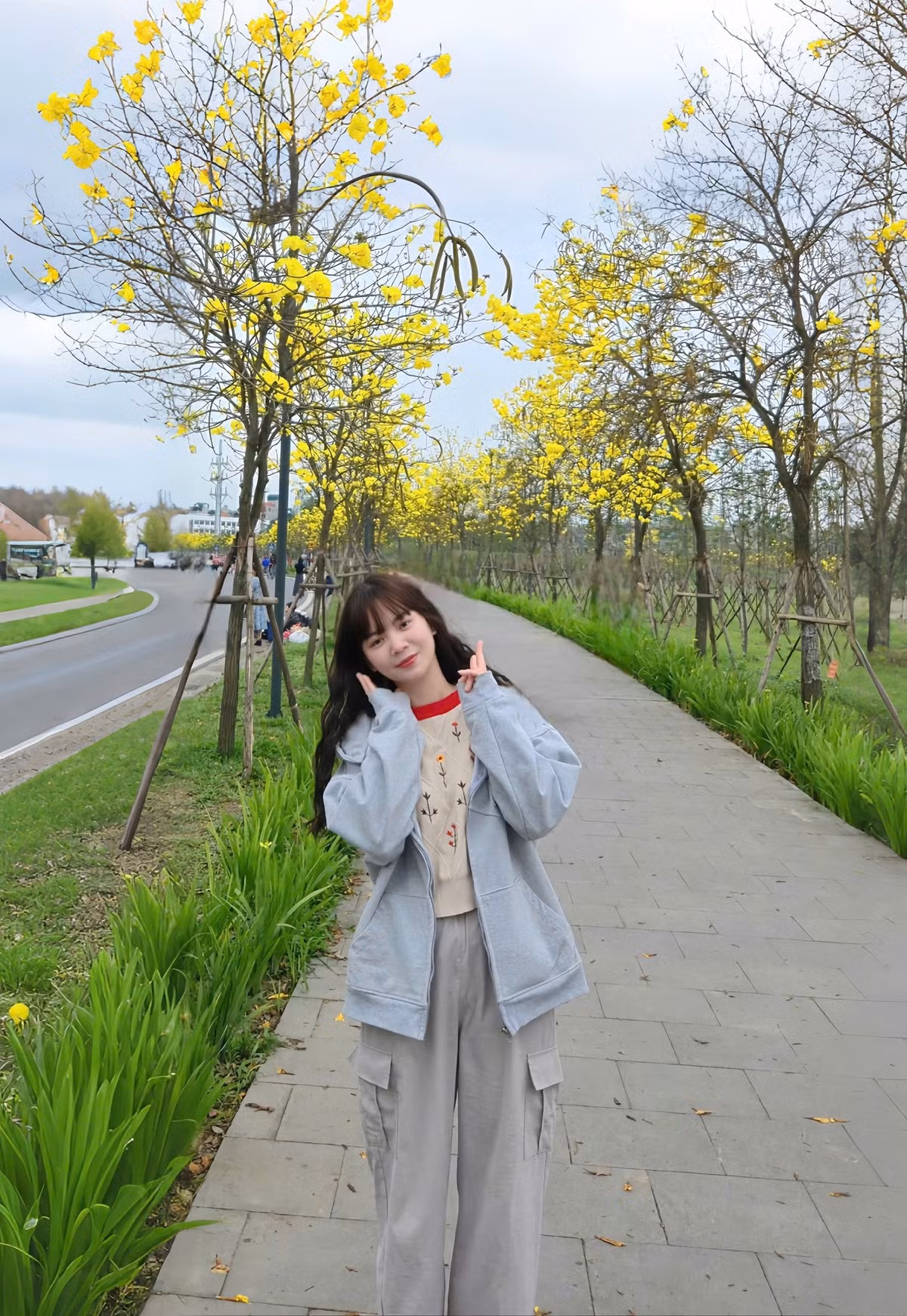 Những hàng cây hoa phong linh ở khu đô thị tại quận Hà Đông (Hà Nội) những ngày này cũng đua nhau kheo sắc vàng rực rỡ, thu hút các "tín đồ" đam mê nghệ thuật tới chụp hình. Ảnh Nguyễn Linh