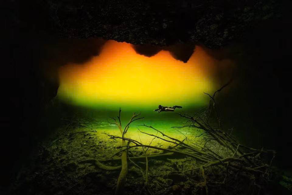 "Cực Quang Dưới Nước", tác phẩm thắng giải Nhiếp ảnh gia dưới nước triển vọng của năm 2025. Ảnh: Ruruka/UPY2025.