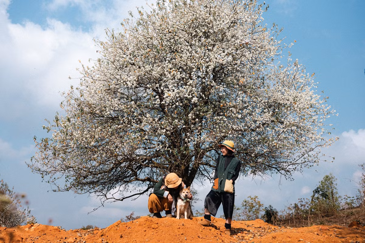 Đây là nơi sinh sống của 135 hộ dân, 100% là đồng bào dân tộc Mông. Ảnh Hoàng Minh Đức