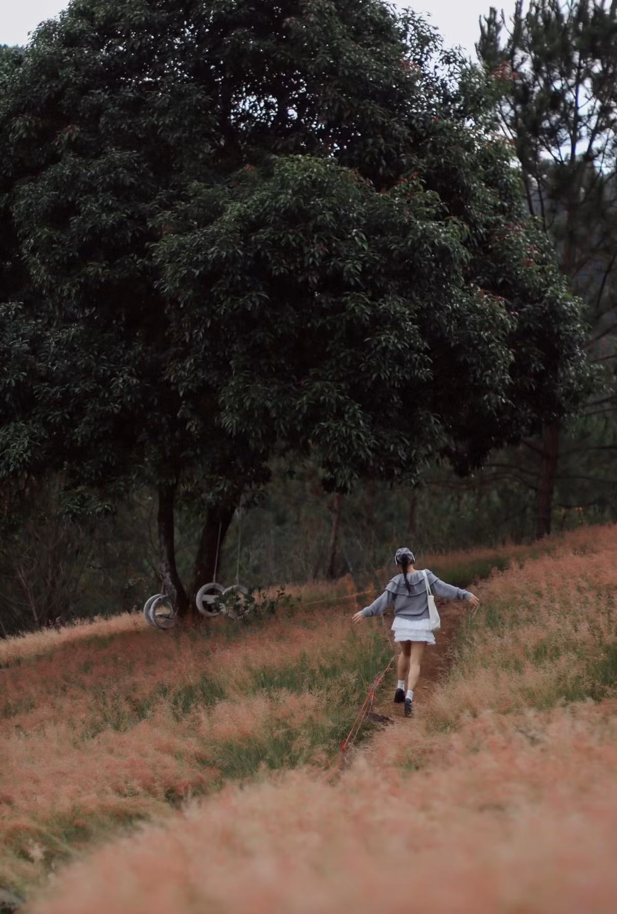 Không gian ngọt ngào của đồi cỏ hồng tại hồ Tuyền Lâm rộng lớn với sự lãng mạn và dịu dàng như bức tranh cổ tích nhiều sắc mầu làm đắm say bất kỳ du khách nào khi có dịp ghé thăm Đà Lạt. Ảnh Fb Thu Hằng