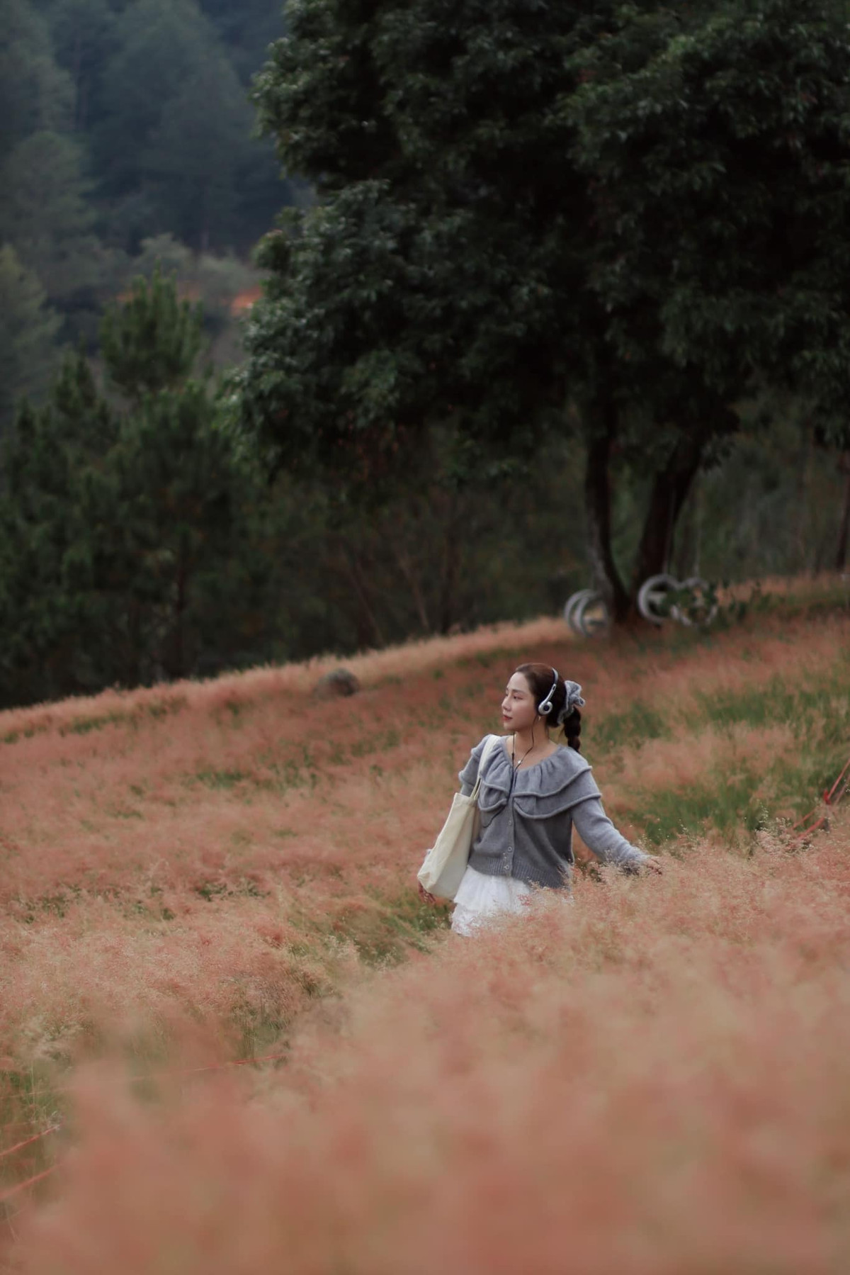 Tại đây, du khách tận hưởng vẻ đẹp của cỏ hồng cùng cảnh sắc hồ nước trong xanh, tạo nên một bức tranh thiên nhiên vừa thanh bình vừa lãng mạn. Ảnh Fb Thu Hằng