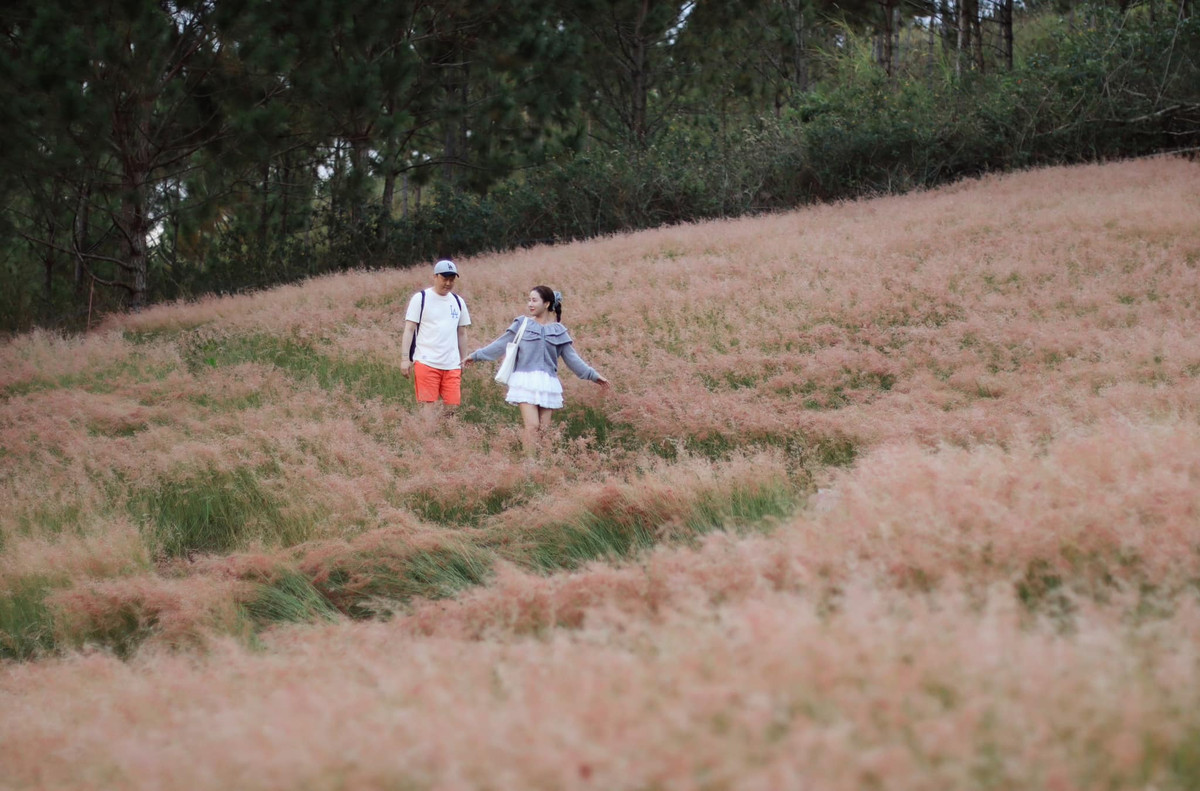 Màu hồng phớt nhẹ kết hợp với ánh nắng tạo nên khung cảnh thơ mộng. Ảnh Fb Thu Hằng