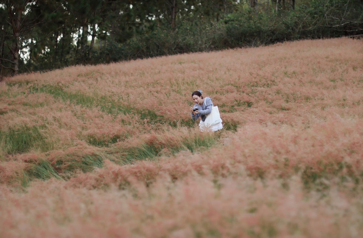 Đứng ở góc nào, du khách cũng có thể "săn" được những bức hình ưng ý nhất. Ảnh Fb Thu Hằng