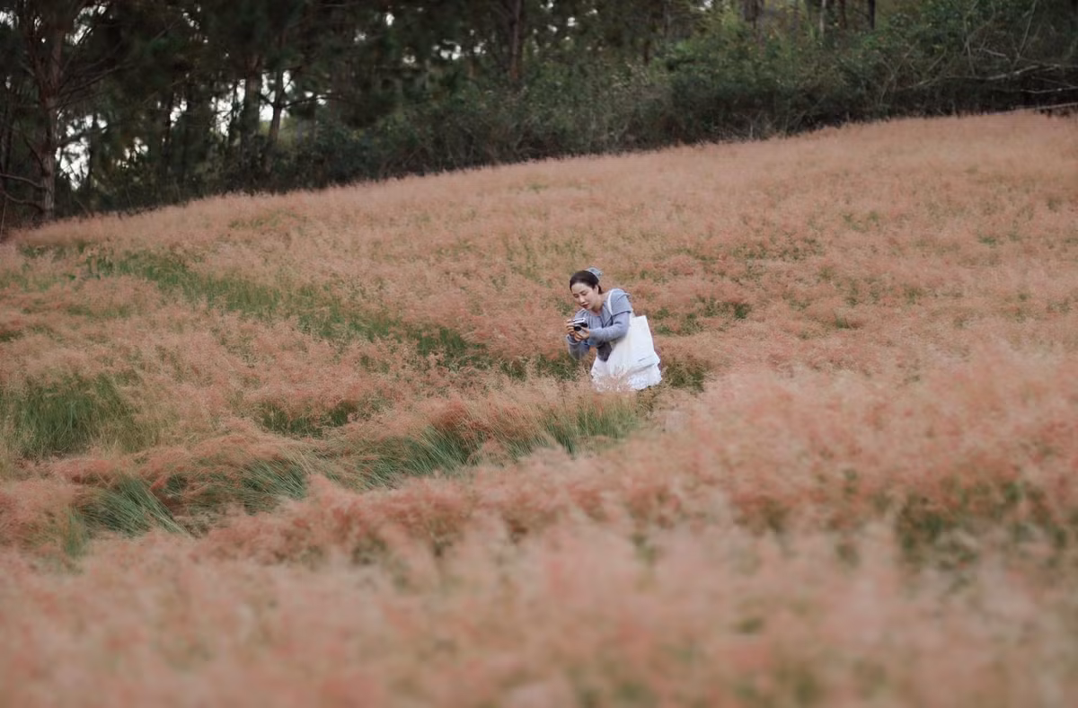 Đứng ở góc nào, du khách cũng có thể "săn" được những bức hình ưng ý nhất. Ảnh Fb Thu Hằng