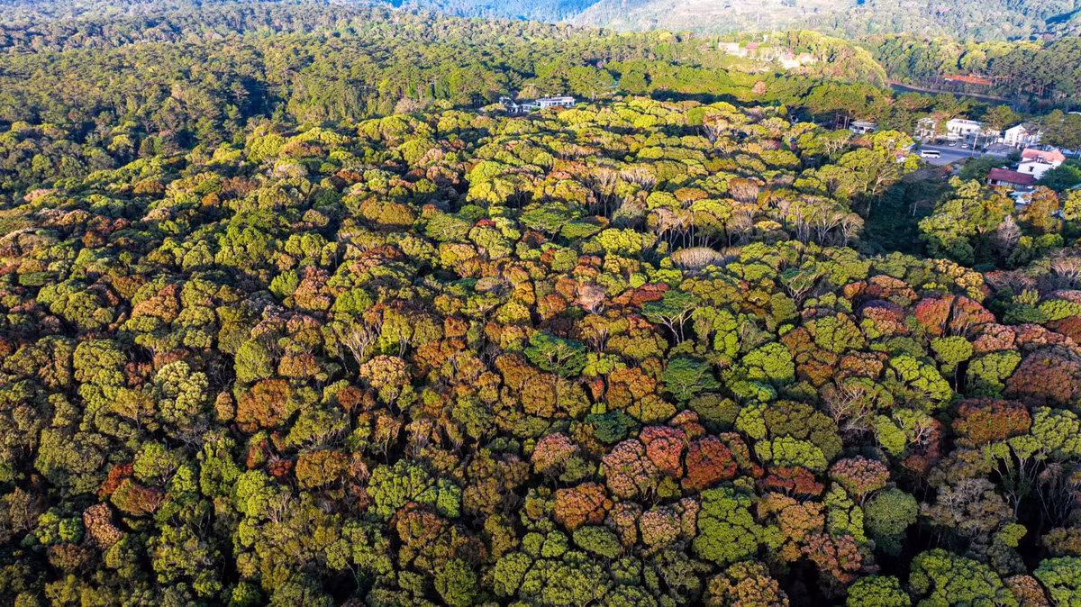 Mỗi năm, khi mùa xuân gõ cửa, Măng Đen lại bước vào thời khắc chuyển mình kỳ diệu.
